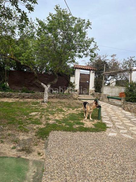 Foto 5523b801-e281-46e9-b5e3-b25d6301b53e. Masia a Vejer Vejer de la Frontera
