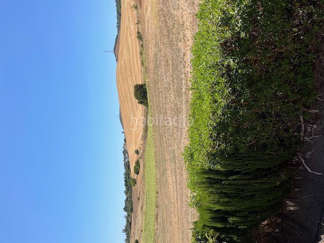 Foto 2b089576-9278-48a5-b9df-b5ca5c4959e4. Alquiler apartamento  en alquiler en cañada ancha, 2 dormitorios. en Vejer de la Frontera