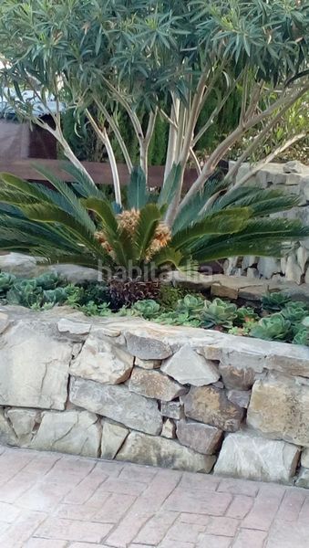Foto 3b19f9da-2c3f-4e8d-8949-3c48c53e2ead. Alquiler apartamento  en alquiler en cañada ancha, 2 dormitorios. en Vejer de la Frontera