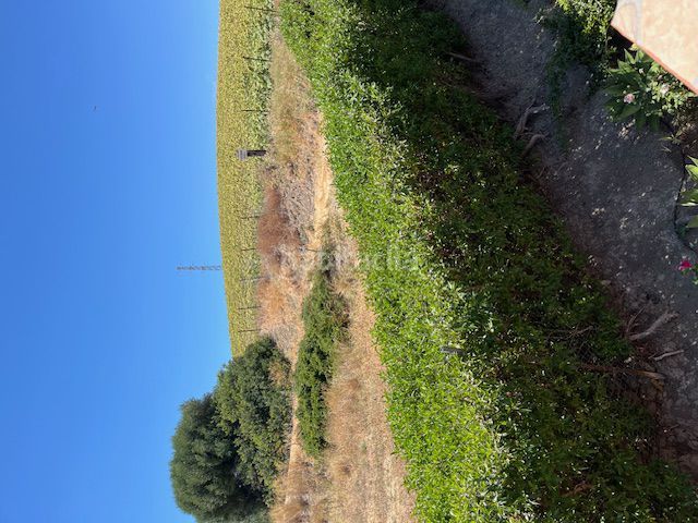 Foto d8e10412-a30c-4dca-be16-efed6a6c91da. Alquiler apartamento  en alquiler en cañada ancha, 2 dormitorios. en Vejer de la Frontera