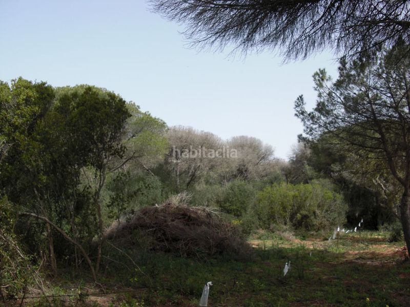 Foto 3f476435-66d1-47e2-a8df-1944a616ec88. Masia a Vejer Vejer de la Frontera