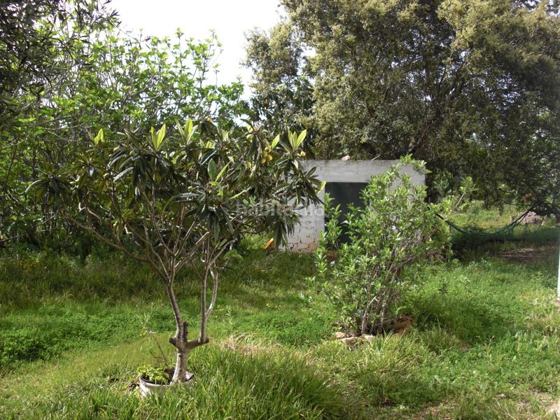 Foto 52c33b8b-dff6-44d8-b16c-fe2e8aff719c. Masia a Vejer Vejer de la Frontera