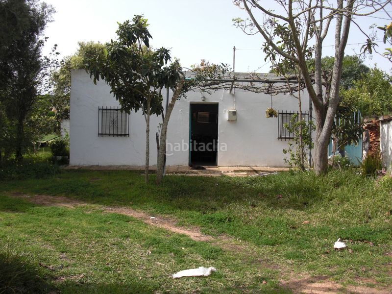 Foto 559d8ac7-76d4-44ff-a00b-1fedda5a044c. Masia a Vejer Vejer de la Frontera