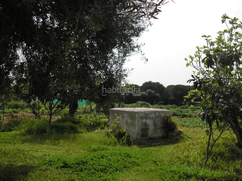 Foto 819110ef-9152-47d8-ba0f-6c92fb3e81b4. Masia a Vejer Vejer de la Frontera