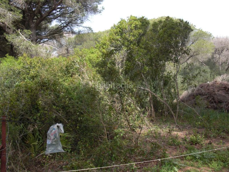 Foto cd89eae9-4e35-4e74-ab63-3dc8b7c089ac. Masia a Vejer Vejer de la Frontera