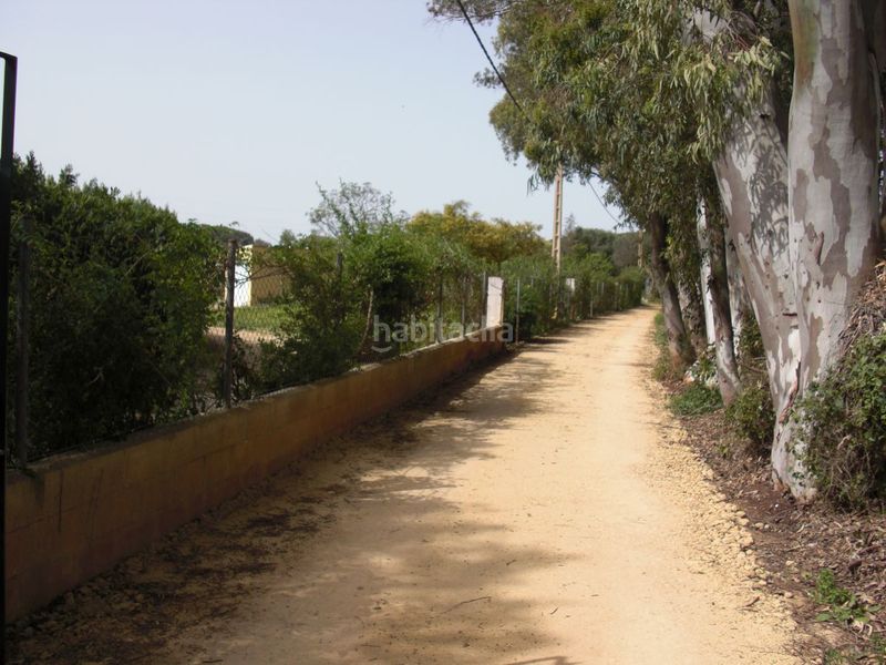Foto ce9756ee-aea7-461f-8e50-a3a3b2bb43b3. Masia a Vejer Vejer de la Frontera
