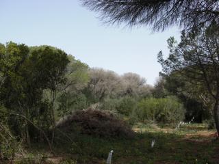 Terreny residencial a Vejer. Finca rúst. en venta en la muela.