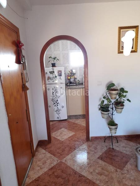 Foto 4c824ef5-8352-47f2-949b-44784d009f65. Alquiler piso  en alquiler en nueva zona, 3 dormitorios. en Vejer de la Frontera