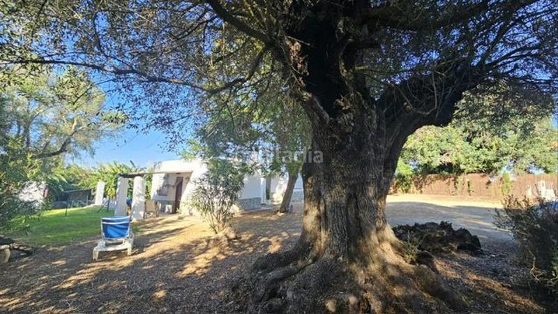 Foto bebb3879-2bb7-4aaf-b9f9-95e9c07423a4. Miete appartement in Vejer Vejer de la Frontera