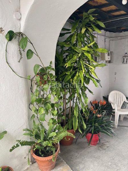 Foto 757ea587-1686-4681-b68b-f4c61eb6386b. Apartament a Vejer Vejer de la Frontera