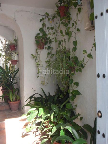 Foto 4868cc90-445e-42bf-bba9-f3b7f65d8e57. Apartament a Vejer Vejer de la Frontera