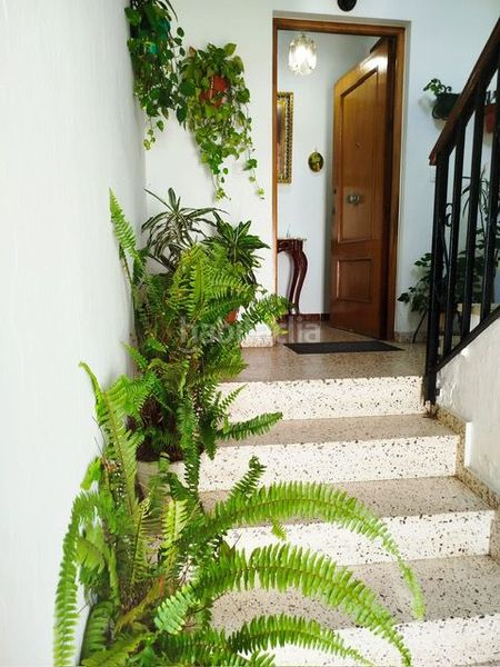 Foto 360d7de0-b2ed-4ace-b5e1-5e59db1dca86. Apartament a Vejer Vejer de la Frontera