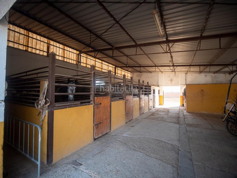 Foto 0289bd0a-6c93-4261-acef-a8fa9f3c74d6. Masia amb aparcament a Las Tres Piedras - Costa Ballena Chipiona