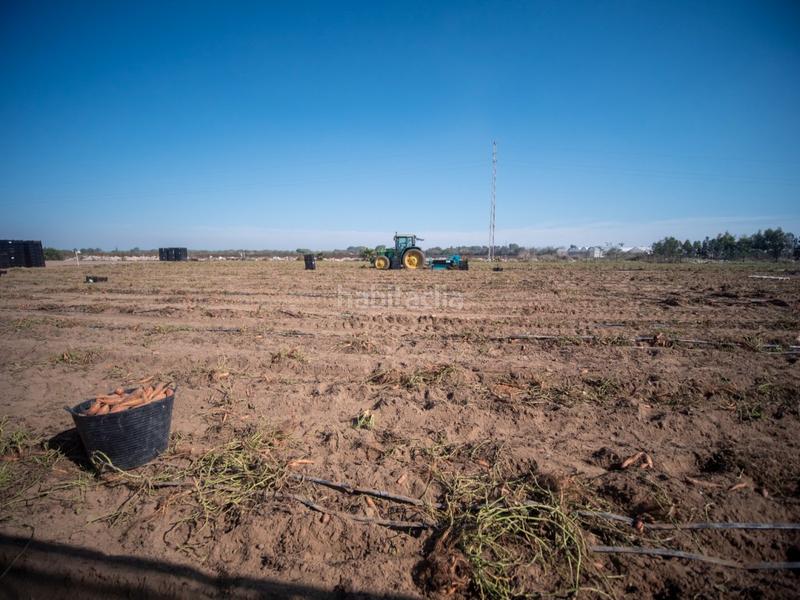 Foto 164b804e-fa6c-4d79-949b-b78395059064. Masia amb aparcament a Las Tres Piedras - Costa Ballena Chipiona