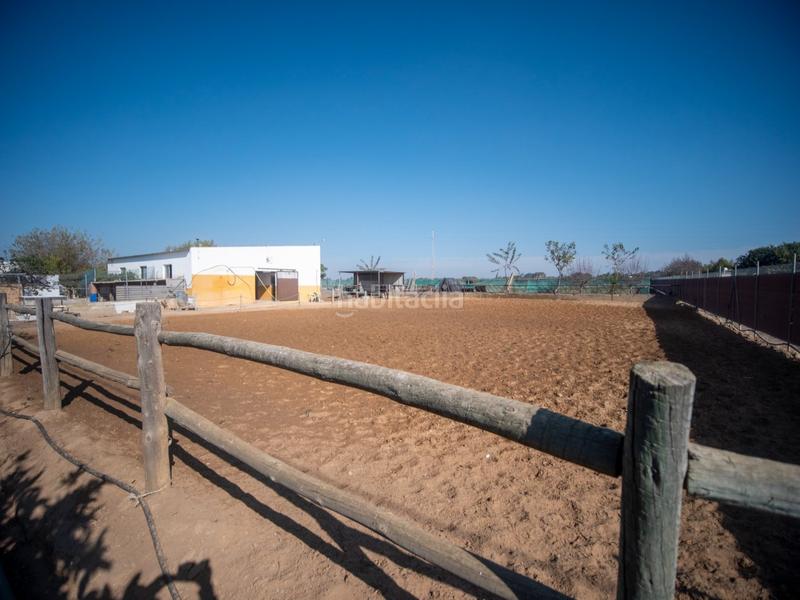 Foto 190280c6-27b8-4074-ab8d-ee7dbecfb95f. Masia amb aparcament a Las Tres Piedras - Costa Ballena Chipiona