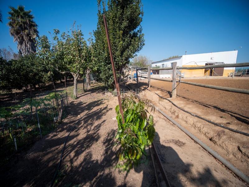 Foto 575d5bd3-e7ca-43b9-b347-890cf46bc404. Masia amb aparcament a Las Tres Piedras - Costa Ballena Chipiona