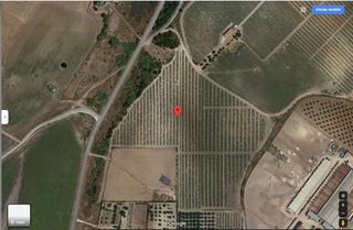 Terreny residencial  Las cortazas. Precioso viedo de 35.000m