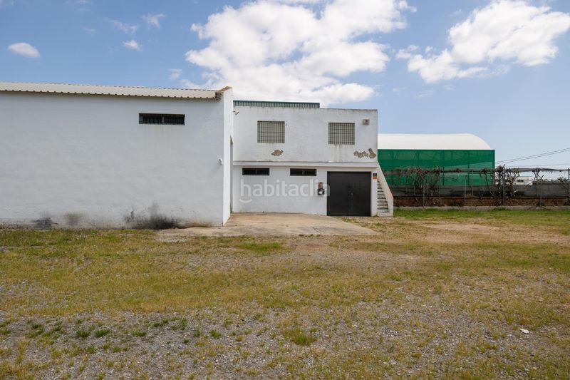 Foto e037d6da-217a-41ee-88d5-baae89f8907f. Affitto capannone industriale in Playa Cruz del Mar Chipiona