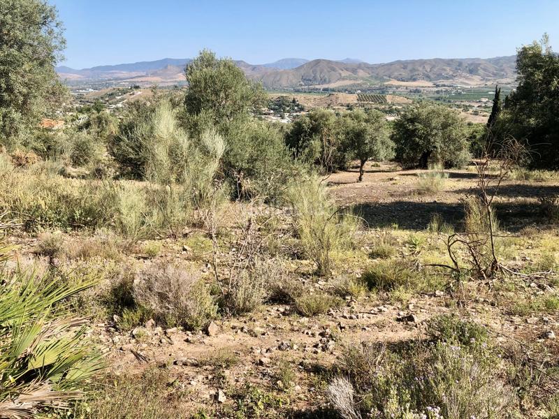 Foto 093a1814-e929-4cf7-ad8f-dbfbdd70fb8a. Landgut in Cártama