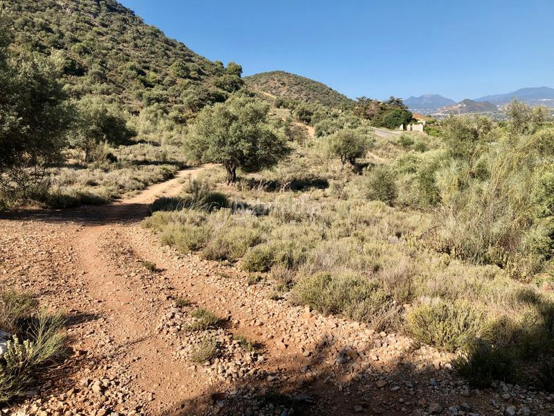 Foto a62fea42-d380-4db8-90cd-7893e8db54b3. Landgut in Cártama