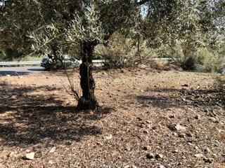 Finca rústica en Cártama