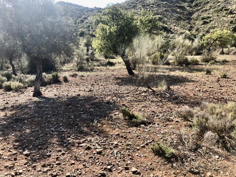 Foto fa777b98-976f-4d12-a1b1-01f087f8335e. Finca rústica en Cártama