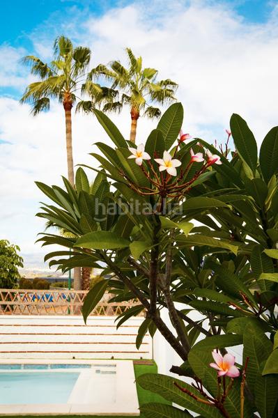 Foto a30cab12-5c42-4c97-a88f-5548ab5f8a3e. Chalet avec cheminée chauffage parking piscine dans Alhaurín de la Torre