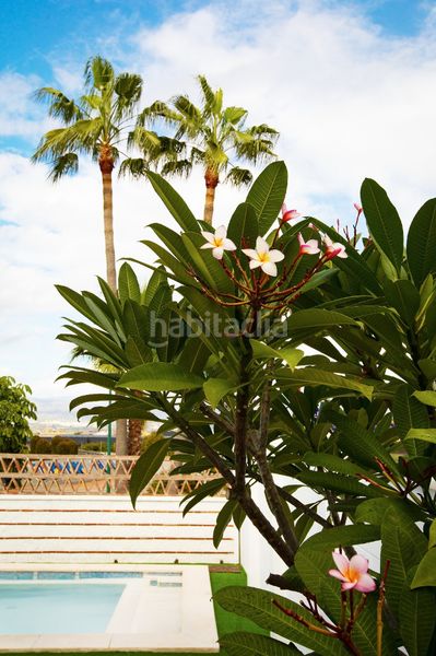 Foto 1b3c70e2-4071-4ead-9182-53b31f73b70e. Xalet a avenida de málaga 121 a Capellanía - Retamar Alhaurín de la Torre