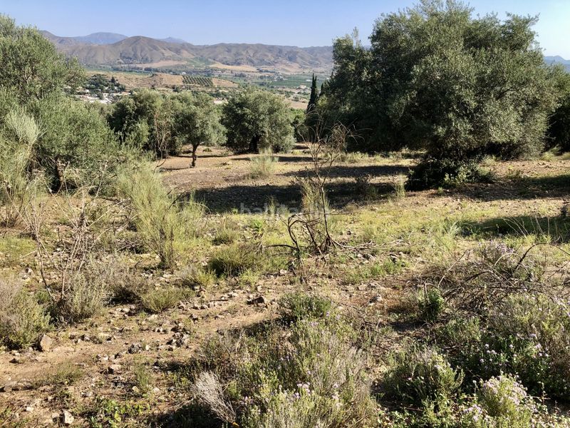 Foto 2a4b3a00-9770-4ffc-9f02-86e3c8590503. Finca rústica a Centro Alhaurín el Grande