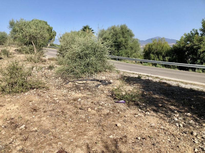 Foto fe039937-05fc-4294-a882-8611689a4e3c. Finca rústica a Centro Alhaurín el Grande