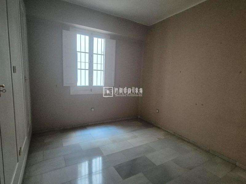 Foto 102567da-d0a6-46fa-ad85-1af7e6251131. Flat with terrace in Los Remedios Sevilla