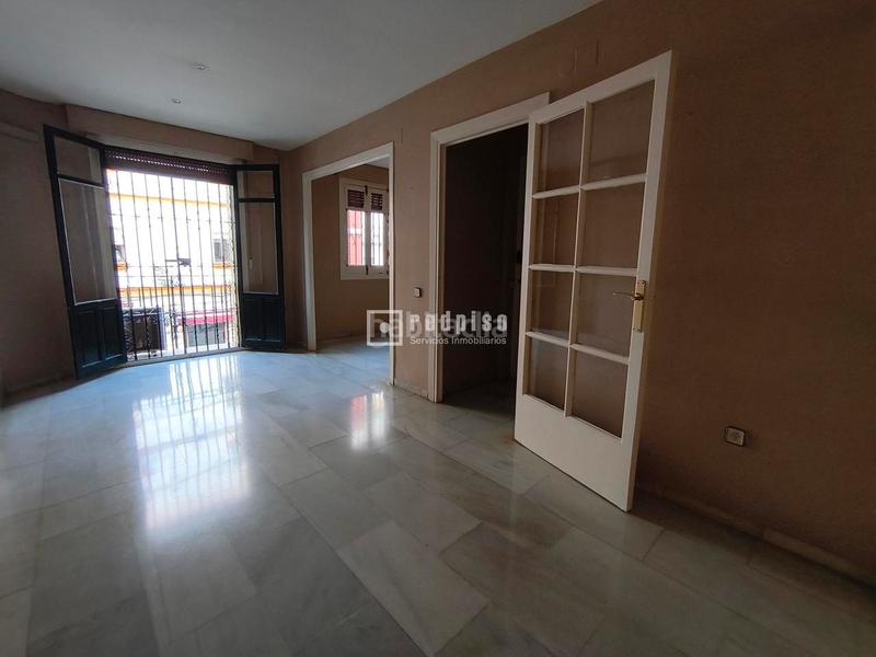 Foto c4f8b674-ca84-4eb7-bd58-85b11fbd6d2e. Flat with terrace in Los Remedios Sevilla
