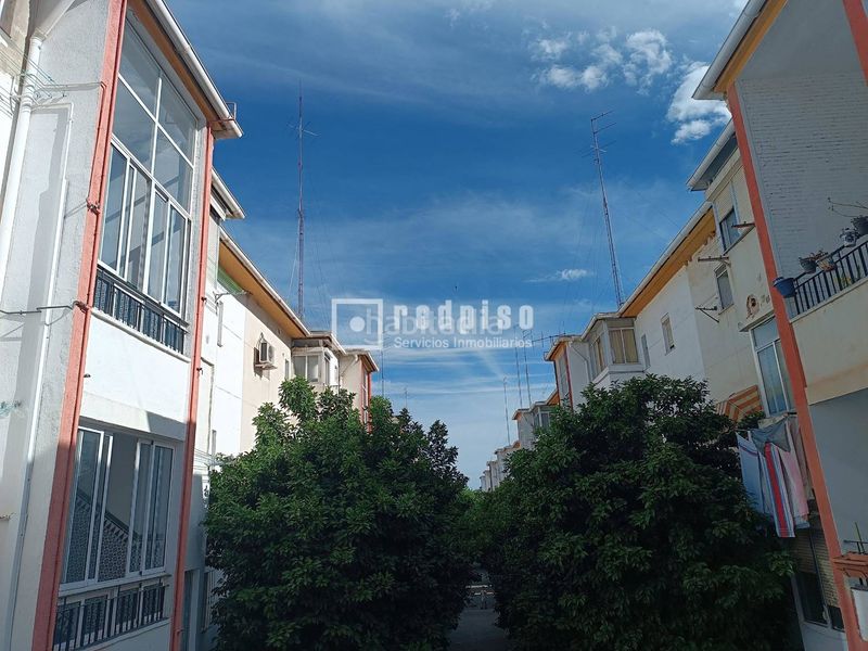 Foto f5bf1712-2e44-4d7a-a1f0-71e879f480cd. Pis a El Tardón - El Carmen Sevilla