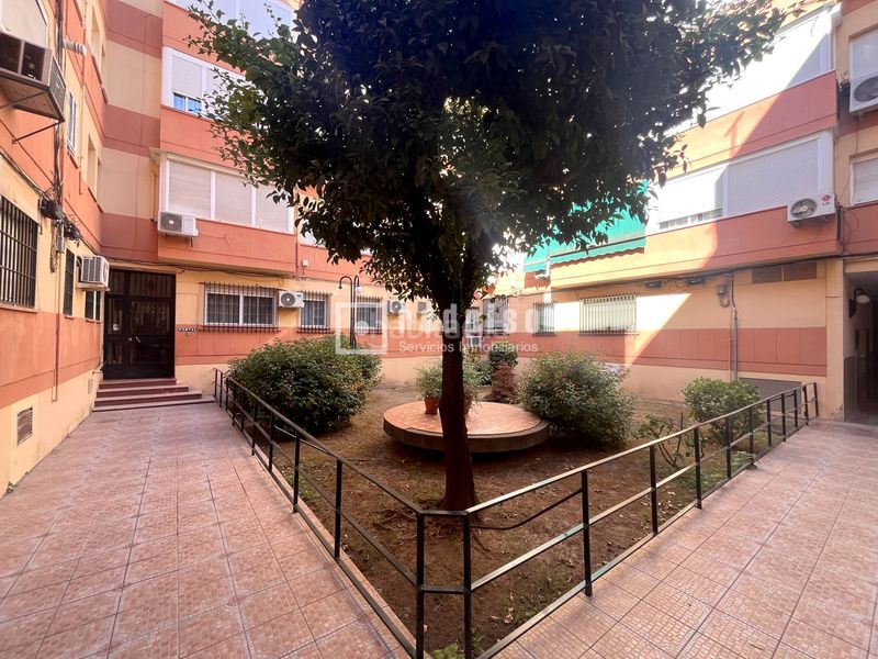 Foto 9ae21b0d-6bcb-4e21-9907-ee0c65fd7321. Pis a Triana Este Sevilla
