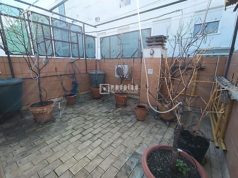 Foto 25bd8426-a4c6-4464-b92f-976104f31cce. Casa amb aparcament a Triana Este Sevilla