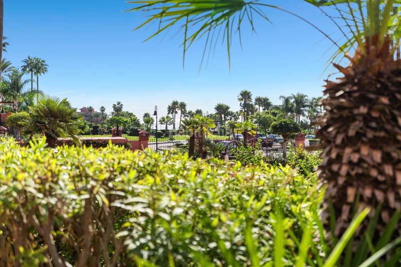 Foto 160492ce-cc8d-4f64-bf72-5ab88c3c6c16. Ground floor with parking pool in Guadalmansa Estepona