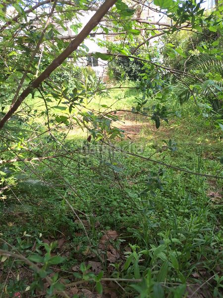 Foto 07fa2f9b-6004-497d-96da-028466c855d0. Terreny residencial a Las Lomas de Río Verde Marbella