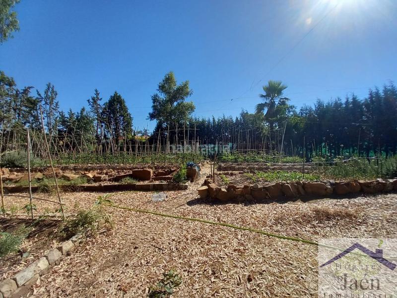 Foto 1a312470-a5e5-4e99-8276-3a054fac8ca2. Terreno residencial solar en venta . en San Roque - La Cruz - La Rozuela Linares