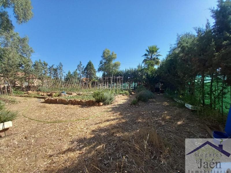 Foto a41d7e29-27c9-4ac7-9a02-2ce2048f8c07. Terreno residencial solar en venta . en San Roque - La Cruz - La Rozuela Linares