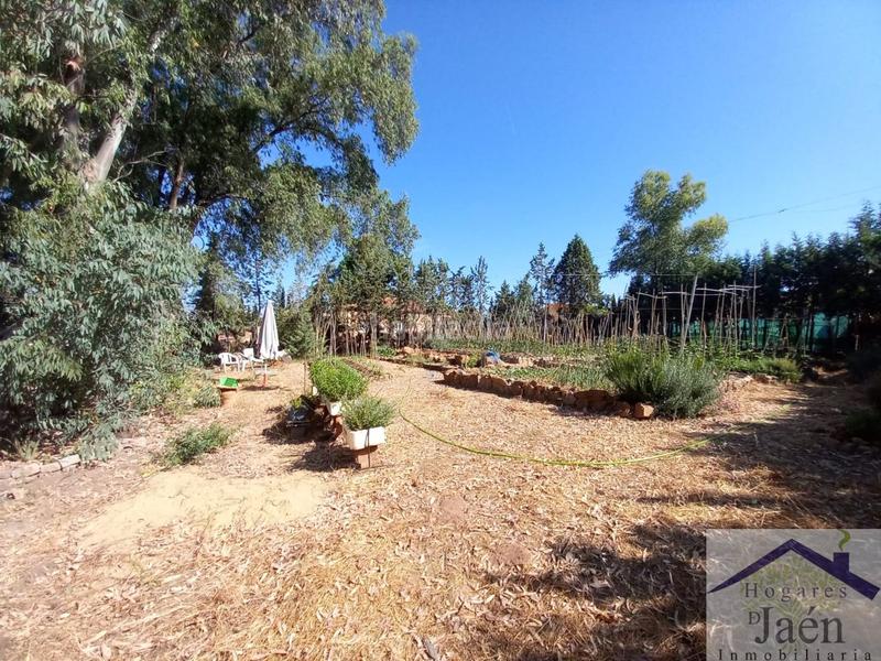 Foto e0316b27-fce1-4fa1-80a6-b7535b3aeb87. Terreno residencial solar en venta . en San Roque - La Cruz - La Rozuela Linares