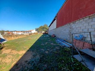 Terreny residencial a Ronquillo (El). Venta de parcela en sevilla: el ronquillo – guillena