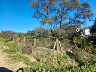 Finca rústica a Castilblanco de los Arroyos. Terreno en venta en sevilla: urb. san benito abad – castilblanco