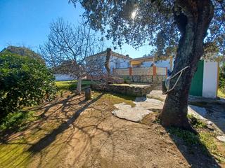 Xalet en Las Pajanosas. Venta de parcela en sevilla: las pajanosas - guillena