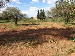 Finca rústica a Almensilla. Venta de parcela en sevilla: urb. seismalos - almensilla