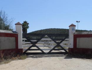 Finca rústica a Sanlúcar la Mayor. Venta de finca en sevilla: sanlúcar la mayor