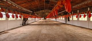 Propriété à Arahal. Venta de granja avícola en sevilla: arahal