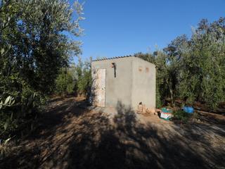Finca rústica a Pilas. Venta de finca en sevilla: el chaparral - pilas