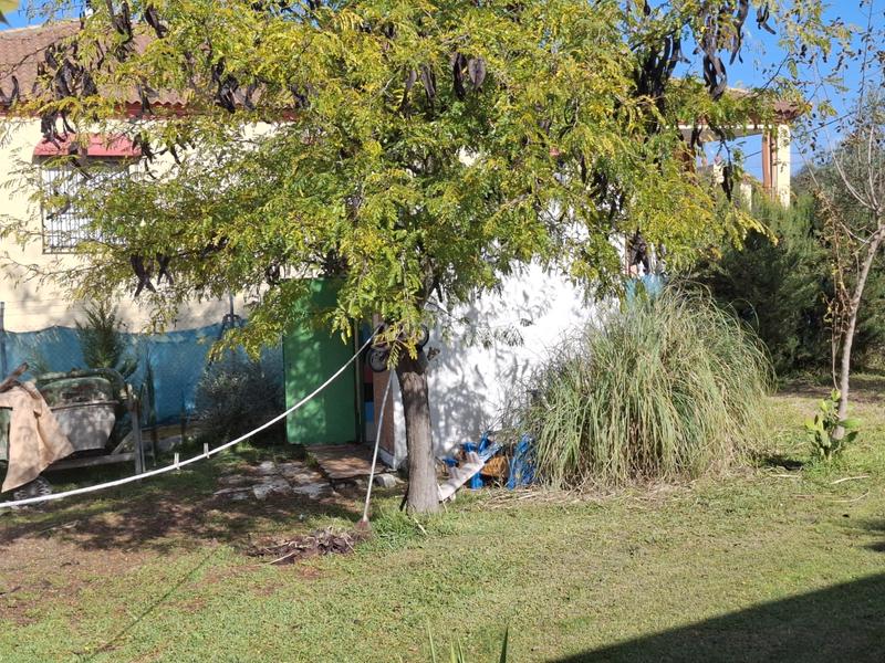 Foto 15d32929-d277-47a0-835b-f91ee0b22002. Xalet amb xemeneia piscina a Castilblanco de los Arroyos