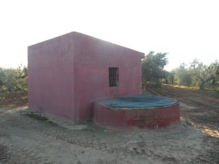 Finca rústica a Bollullos de la Mitación. Venta de finca en sevilla: bollullos de la mitación