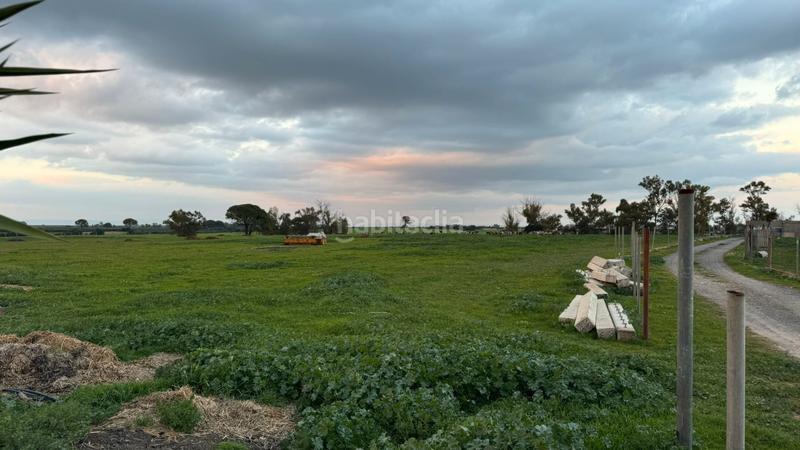 Foto 1a8d09b1-24ee-416c-90bf-31074a0376a2. Finca rústica a Carmona